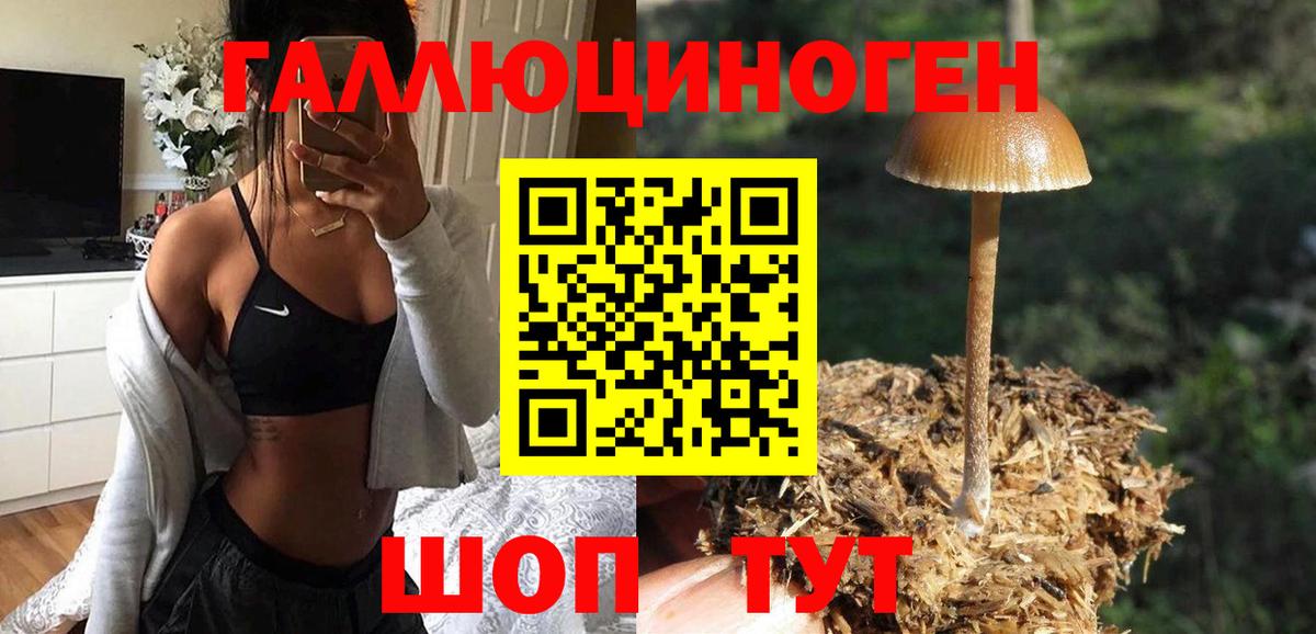 Псилоцибиновые грибы ЛСД  Вход с VPN  Ишимбай 