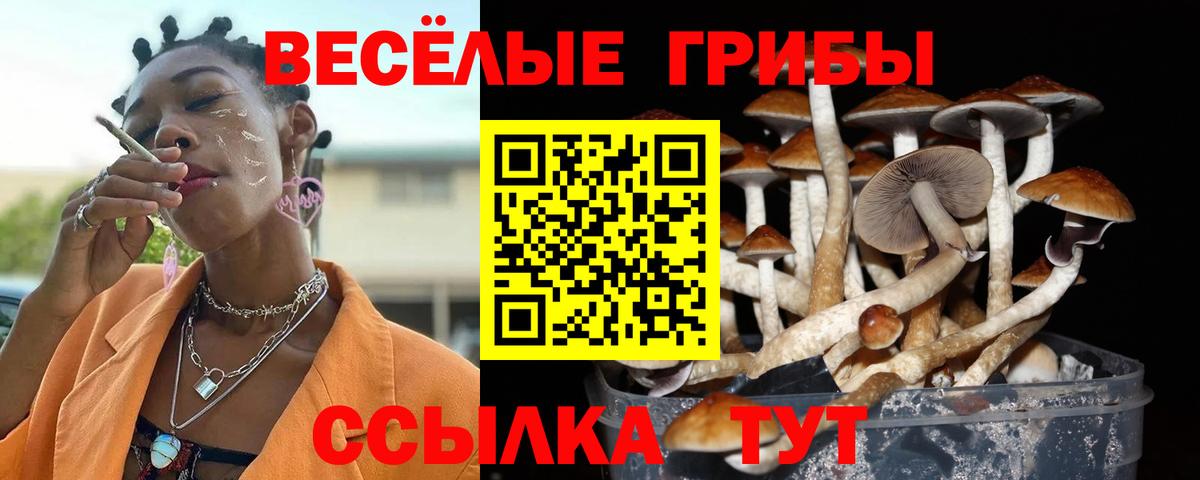Псилоцибиновые грибы мицелий Ишимбай